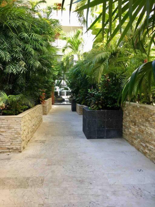 Your Exclusive Studio In The City - Top Amenities & Services For Free!! Playa del Carmen Eksteriør bilde