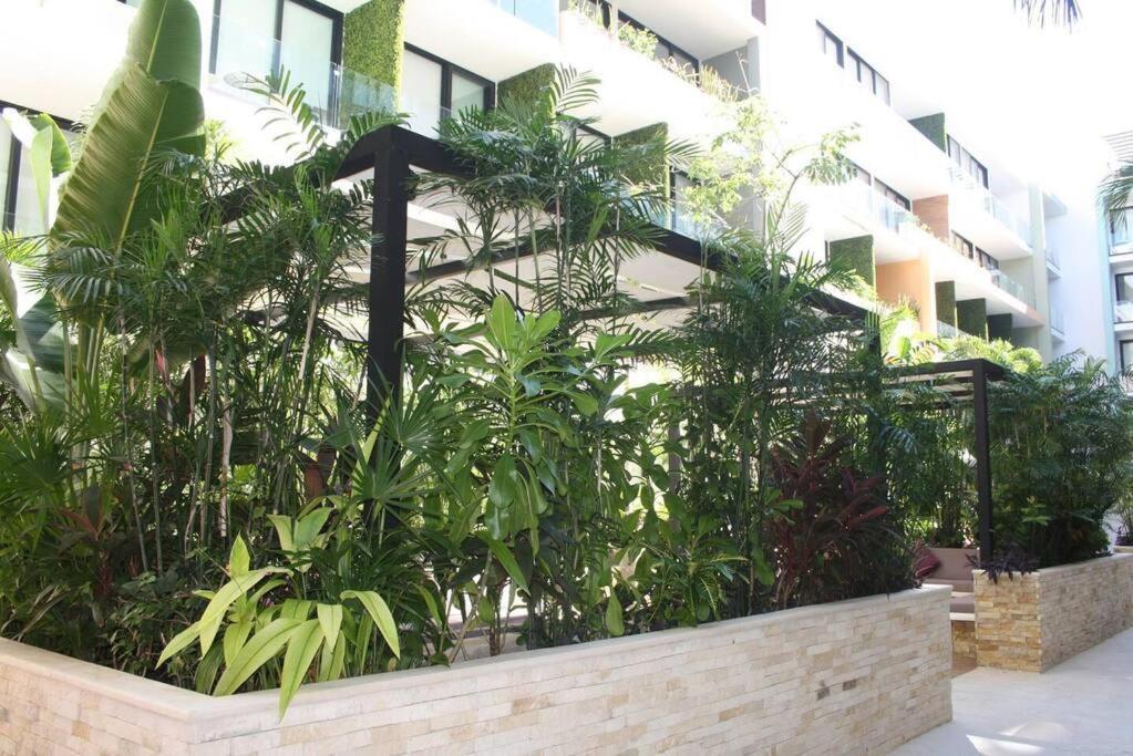 Your Exclusive Studio In The City - Top Amenities & Services For Free!! Playa del Carmen Eksteriør bilde